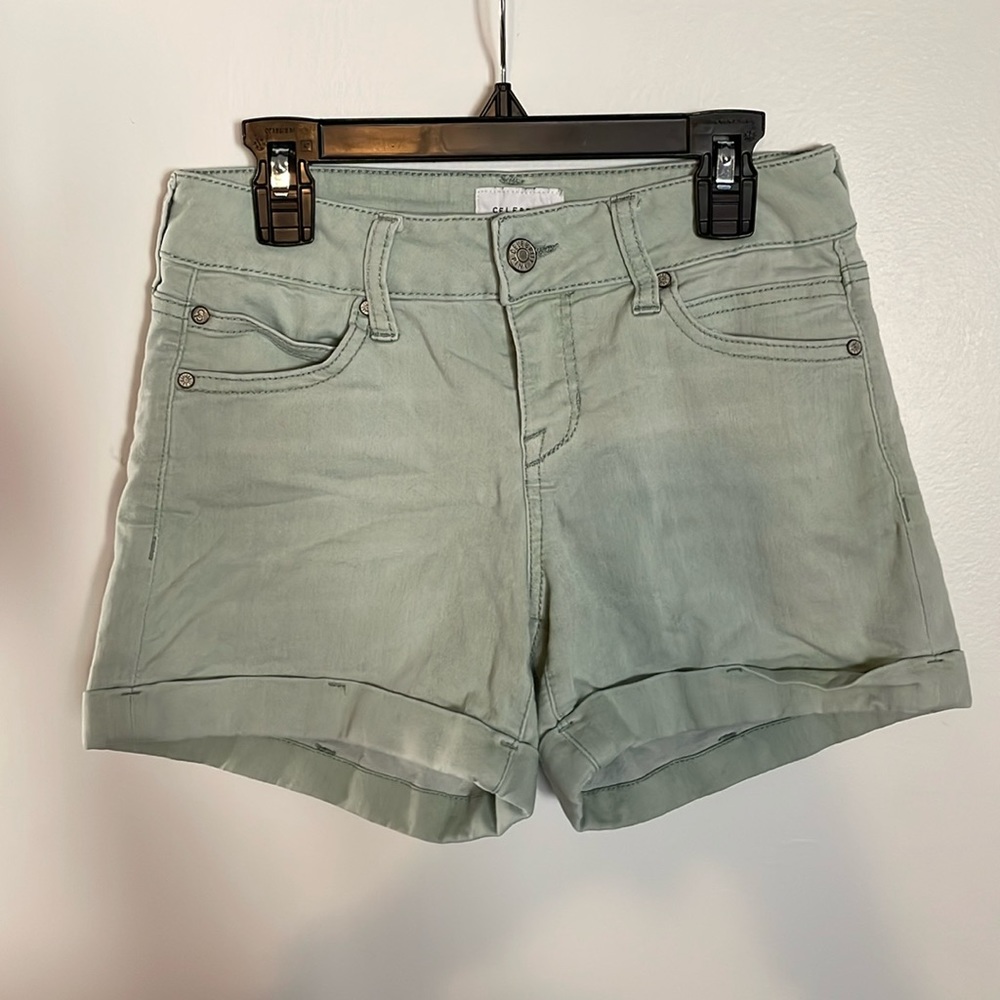 Celebrity Pink | Size 3/26 | Mint Green | Shorts